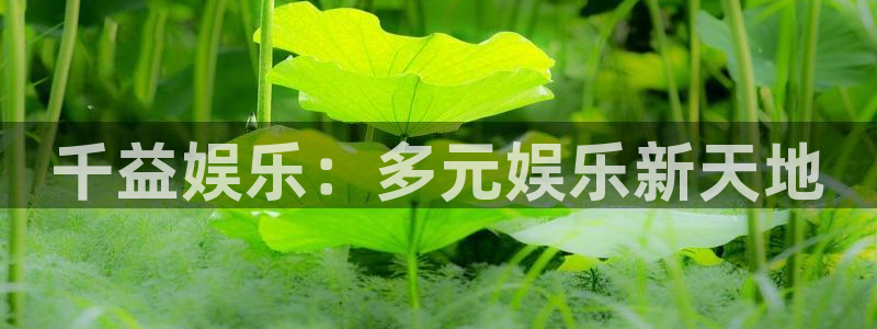 jdb电子4开户：千益娱乐：多元娱乐新天地