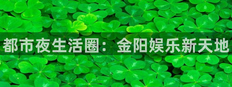 jdb电子体育凯捷平台招商：都市夜生活圈：金阳娱乐新天地