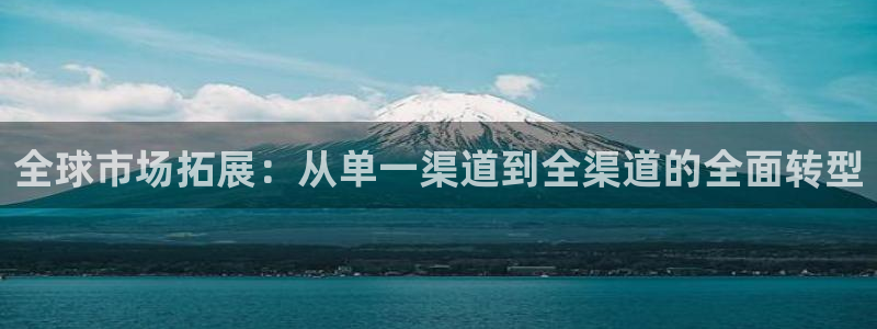jdb电子登陆：全球市场拓展：从单一渠道到全渠道的全面转型