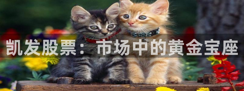 jdb电子登陆：凯发股票：市场中的黄金宝座