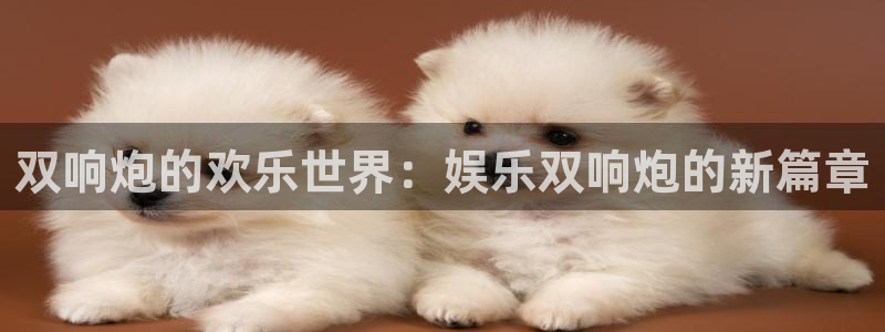 jdb电子kgame：双响炮的欢乐世界：娱乐双响炮的新篇章