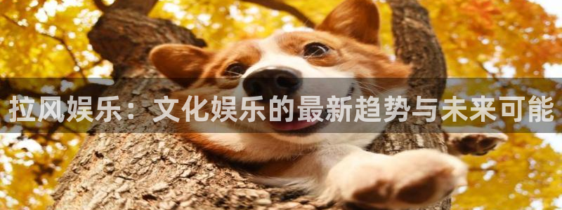 jdb电子2体育：拉风娱乐：文化娱乐的最新趋势与未来可能