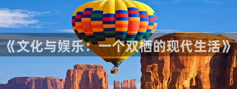 jdb电子2体育登录入口：《文化与娱乐：一个双栖的现代生活》