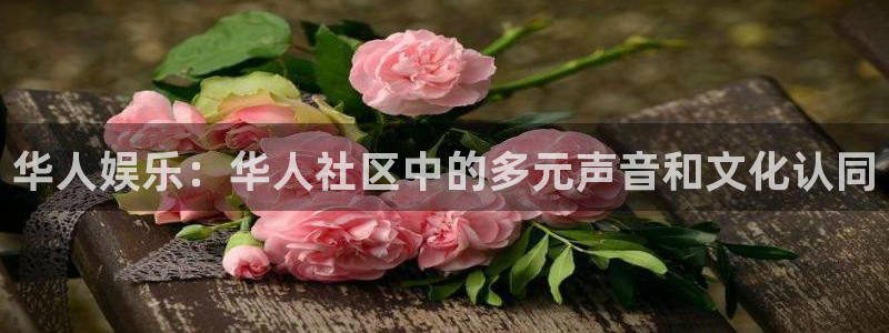 jdb电子平台注册：华人娱乐：华人社区中的多元声音和文化认同