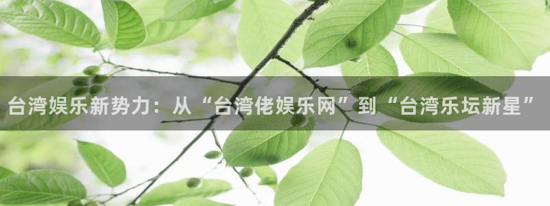 jdb电子登陆：台湾娱乐新势力：从“台湾佬娱乐网”到“台湾乐坛新星”