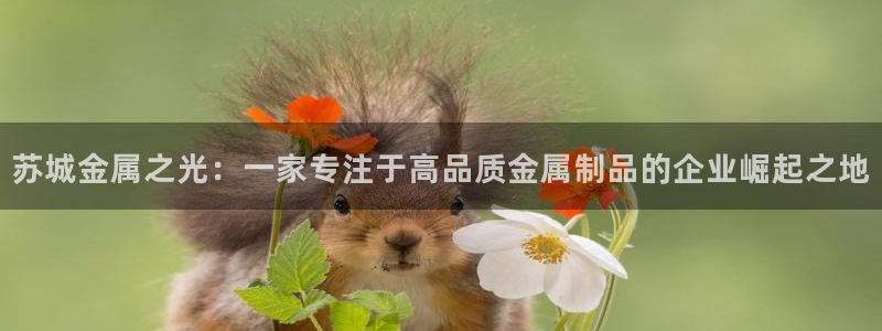 jdb电子2体育登录入口：苏城金属之光：一家专注于高品质金属制品的企业崛起之地