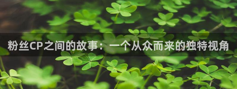 jdb电子登陆：粉丝CP之间的故事：一个从众而来的独特视角