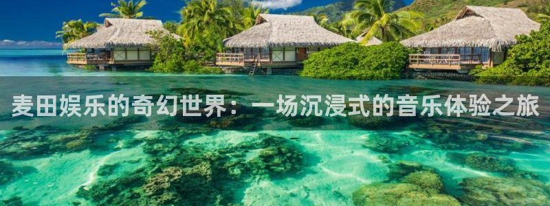 jdb电子体育在线注册：麦田娱乐的奇幻世界：一场沉浸式的音乐体验之旅