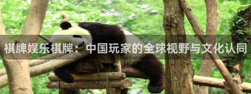 jdb电子4登录：棋牌娱乐棋牌：中国玩家的全球视野与文化认同