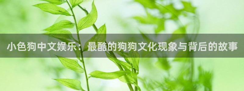 jdb电子3官网：小色狗中文娱乐：最酷的狗狗文化现象与背后的故事