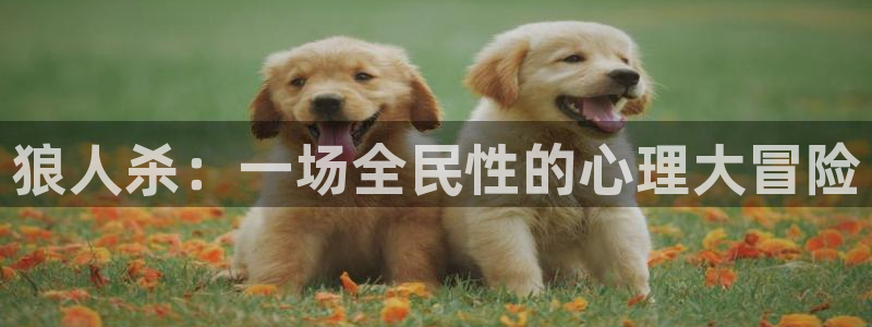 jdb电子体育f开号：狼人杀：一场全民性的心理大冒险