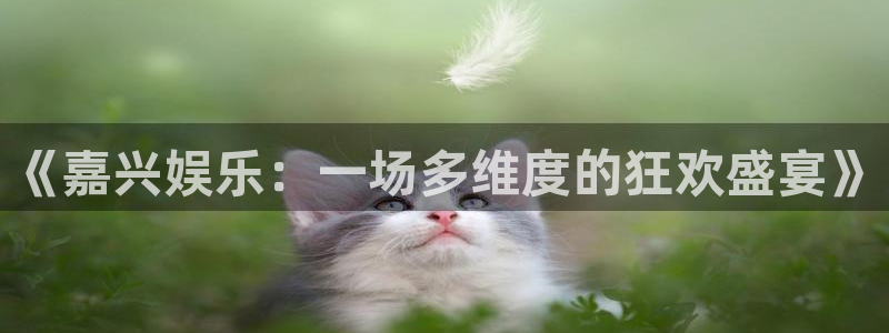 jdb电子体育官网注册：《嘉兴娱乐：一场多维度的狂欢盛宴》