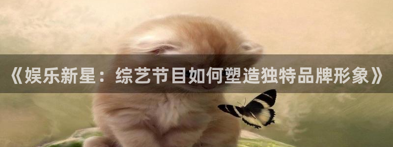 jdb电子2登录地址：《娱乐新星：综艺节目如何塑造独特品牌形象》