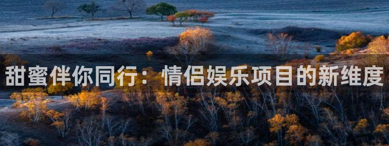 jdb电子登陆：甜蜜伴你同行：情侣娱乐项目的新维度