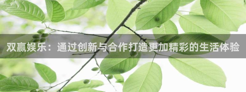 jdb电子凯捷平台注册链接：双赢娱乐：通过创新与合作打造更加精彩的生活体验