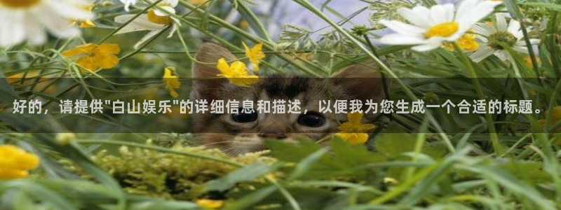 jdb电子2注册：好的，请提供\