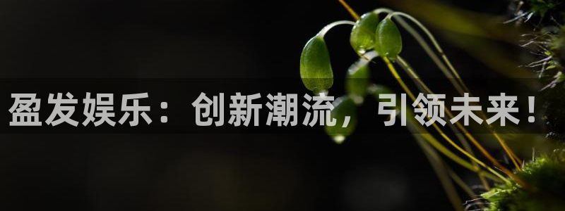 jdb电子平台在线开户：盈发娱乐：创新潮流，引领未来！